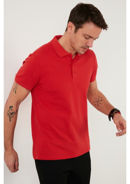Pamuk Regular Fit Düğmeli 2'li Paket Polo Yaka T Shirt Erkek POLO YAKA T SHİRT 5902127S2 fiyatları