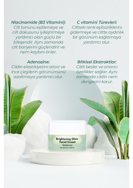 C Vitamini ve Aha Içerikli Aydınlatıcı Yoğun Bakım Seti