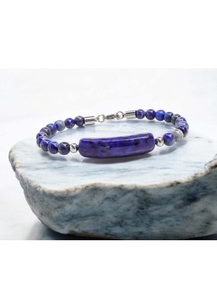 Mestore Lapis Doğraltaş Çelik Halat ve Çelik Klipsli Bileklik 31682B19D4 fırsatları