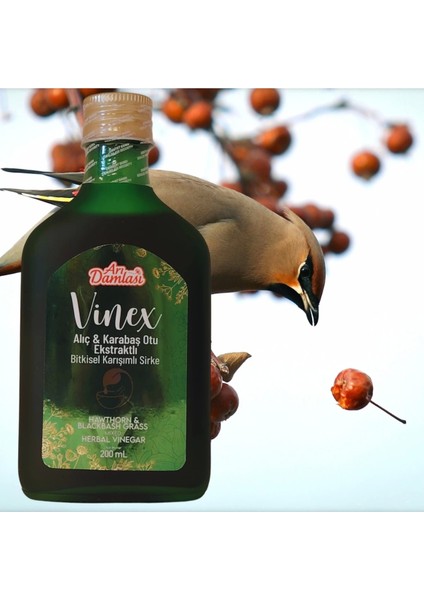Alıç Karabaş Otu Ekstraktlı Bitkisel Karışımlı Sirke 200 ml indirimleri