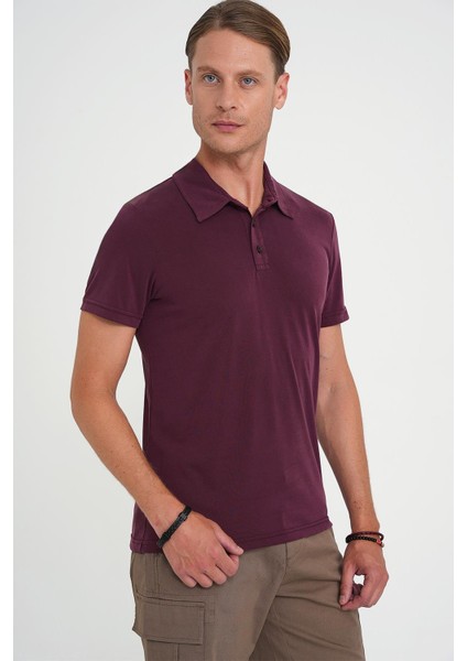 Comfort Fit Polo Yaka Modal Karışım Kısa Kol Casual Mürdüm Tişört Ts 903 modelleri