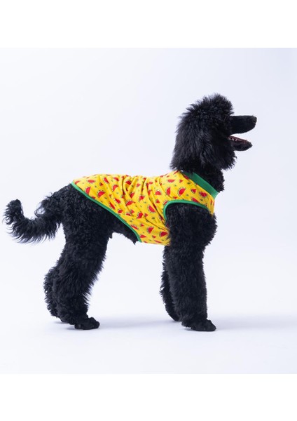 Watermelon Büyük Köpek Tişörtü - Köpek Kıyafeti (15 Kg-45 Kg) fiyatları