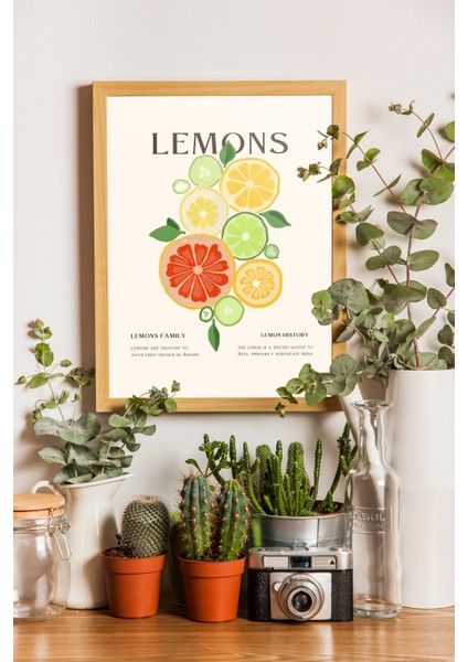 Limon Çeşitleri Tasarım Poster - Mutfak Için Tablo ve Posterler - Ahşap Çerçeveli
