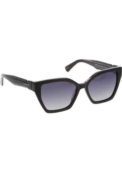 3753 03 56-16 Kadın Güneş Gözlüğü modelleri