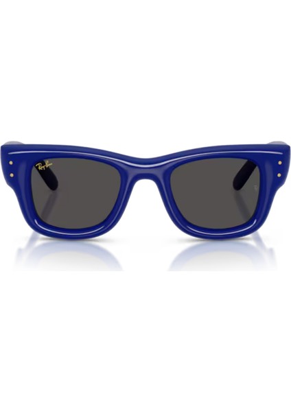 4940 Wayfarer Puffer 683387 47-23-145 Unisex Güneş Gözlüğü fiyatları