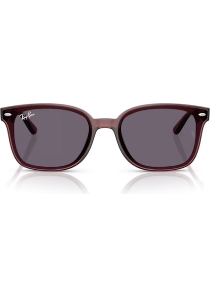 4461D 659373 64-17-145 Unisex Güneş Gözlüğü fiyatları