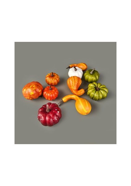 9'lu Dekoratif Köpük Kabaklar - Renkli