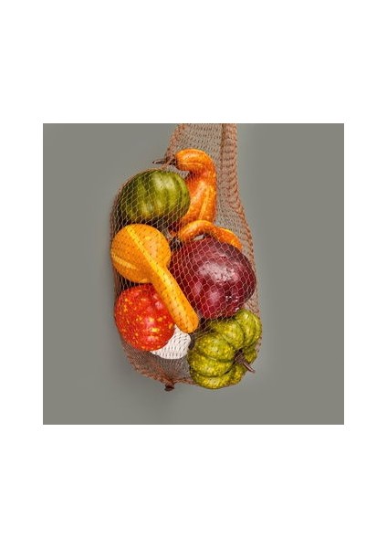 9'lu Dekoratif Köpük Kabaklar - Renkli fiyatları