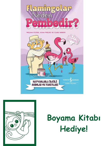 Flamingolar Neden Pembedir? Hayvanlarla Ilgili Sorular ve Yanıtları + Boyama Kitabı