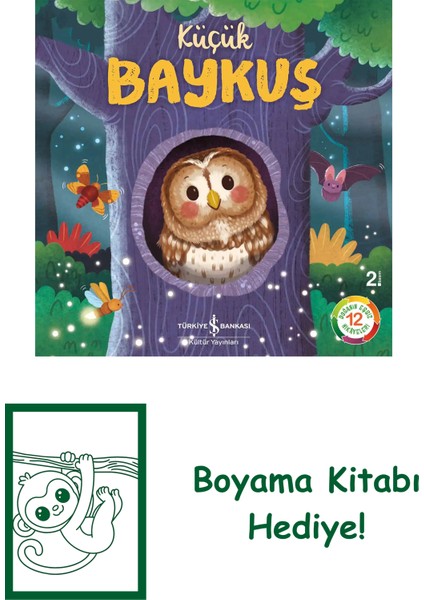Küçük Baykuş – Doğanın Eşsiz Hikâyeleri 12 + Boyama Kitabı