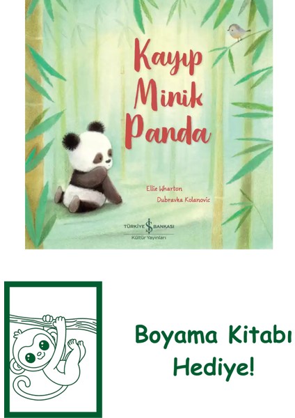 Kayıp Minik Panda + Boyama Kitabı