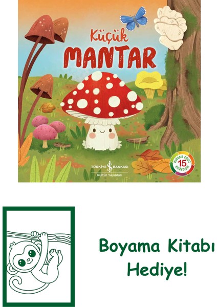 Küçük Mantar – Doğanın Eşsiz Hikâyeleri 15 + Boyama Kitabı