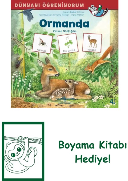 Dünyayı Öğreniyorum Ormanda Resimli Sözlüğüm + Boyama Kitabı