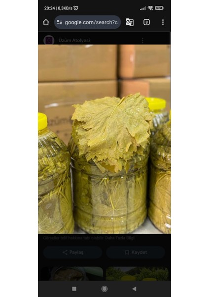 Lüks Salamura Asma Yaprağı – 5 kg indirimleri