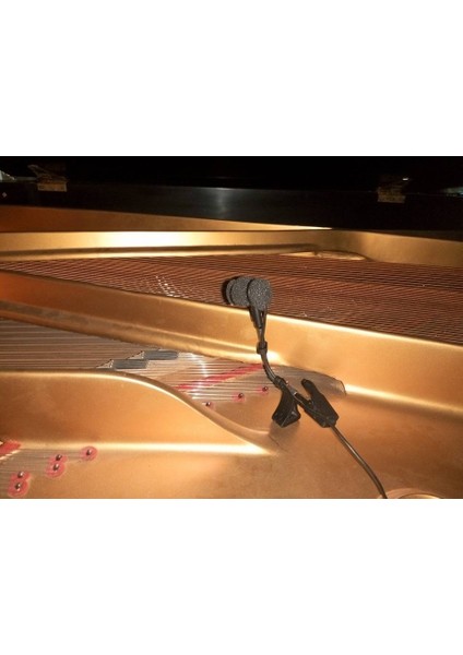 Dpa 4099 ve Audio Technica Pro 35 Piyano Için Mıknatıslı Klips T4277873 3D modelleri