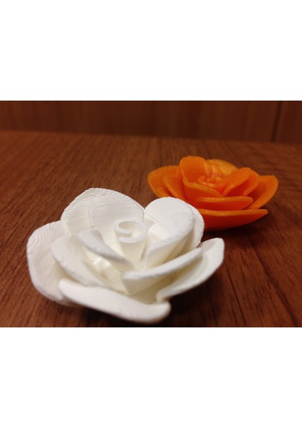 Çiçek 2.0 T1440472 3D