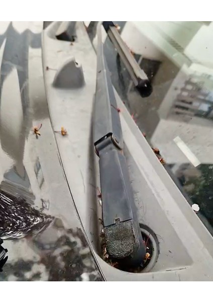 Nissan Pathfinder 2006 Için Ön Cam Silecek Kapağı T2491544 3D fiyatları