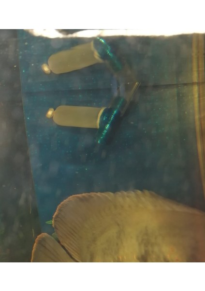 Erektil Tipte Basınç Sensörü (Akvaryum Filtresinin Kirlenme Derecesi). Dış Filtrenin Çıkışına. D 13 Mm. (Plastik Aparattır!!!) 3D fiyatları