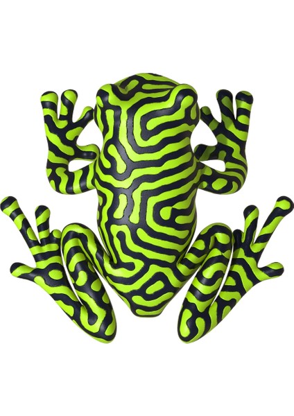 Iki Renkli Kurbağa (Plastik Aparattır!!!) 3D