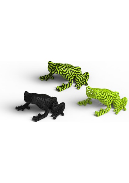 Iki Renkli Kurbağa (Plastik Aparattır!!!) 3D modelleri