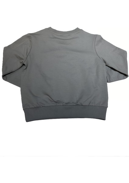 Baskılı Sweatshirt 4-5 Yaş fiyatları