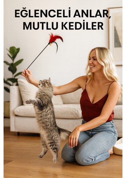 Renkli Tüylü Kedi Eğlence Çubuğu modelleri