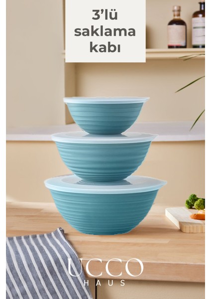 3’lü Saklama Kabı Seti 1+2+3 Litre Kapaklı Gıda Saklama Mikrodalga Buzdolabı Uyumlu Pinterest Kase