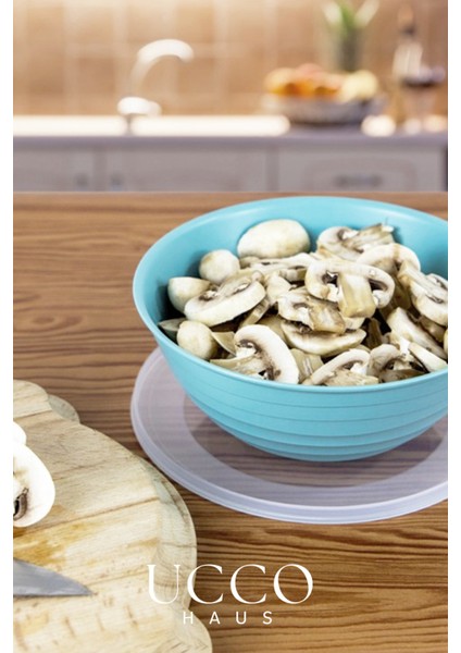 3’lü Saklama Kabı Seti 1+2+3 Litre Kapaklı Gıda Saklama Mikrodalga Buzdolabı Uyumlu Pinterest Kase fırsatları