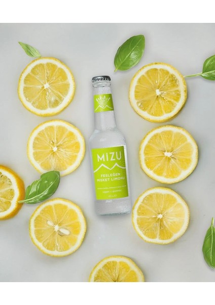 Fesleğen Misket Limonu Aromalı 6 Adet Doğal Mineralli Gazlı Içecek fiyatları