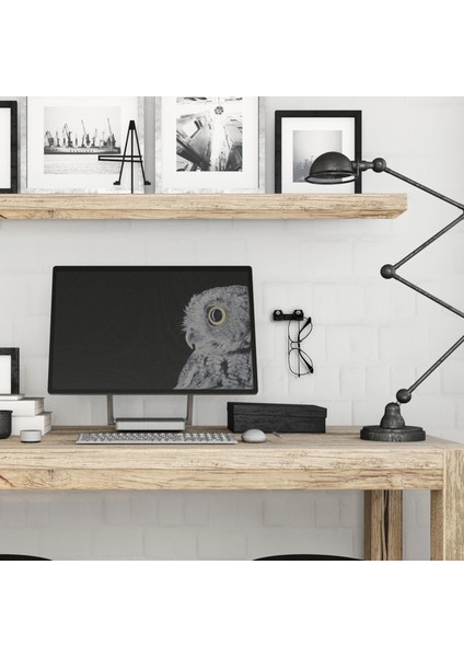 Gözlük Tutucu Standı Güneş Gözlük Tutacağı Tutucu Universal Iki Gözlü fırsatları