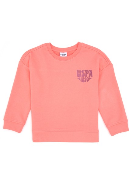 Kız Çocuk Sweatshirt 50314289-VR105