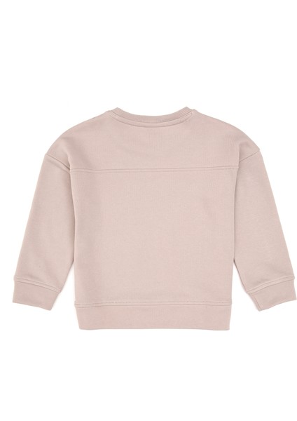 Kız Çocuk Taş Sweatshirt 50314289-VR049 modelleri