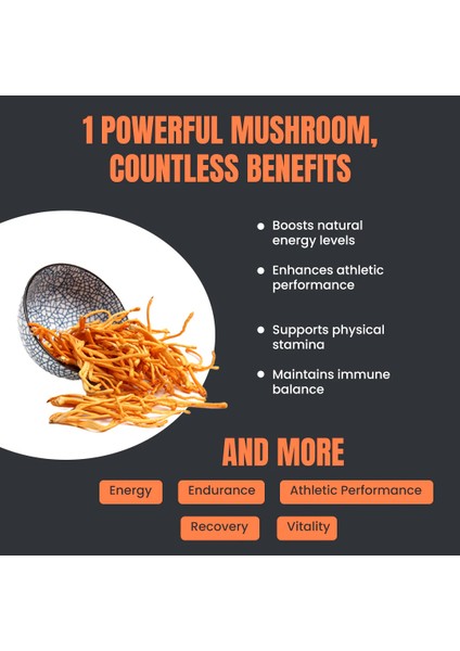 Ultra Cordyceps Plus Ginkgo Biloba And Artichoke Extracts Complex Energy Stamina Vitality Mineral Kordiseps fiyatları