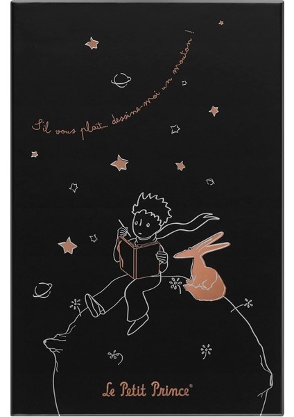 Özel Seri Le Petit Prince/küçük Prens 2023 L Boy Defter - Kutulu