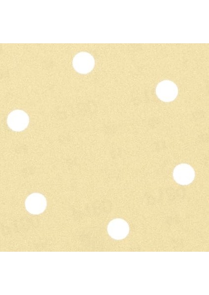 Professional Accessories C450 150 mm 180 Kum 6 Delikli Bosch Professional Accessoriesone Zımpara modelleri