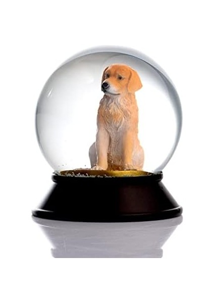 Cam ve Reçine Altın Patiler Köpek Golden Retriever Kar Küresi Hediye fiyatları