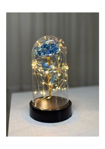 Işıklı Dekoratif Gece Lambası - Şık ve Modern Tasarım, Ev ve Ofis Için Mükemmel Atmosfer Aydınlatması (Mavi) modelleri