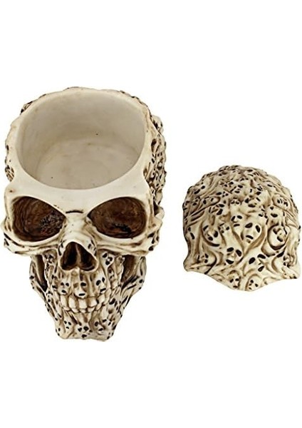 Toscano CL76381 Kafatasının Ruh Ruhu Heykel Kutusu, Tam Renkli modelleri