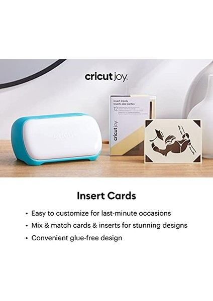 2007259 Joy Insert Kartı 12Lİ Paket 10.8X14CM Prıncess modelleri