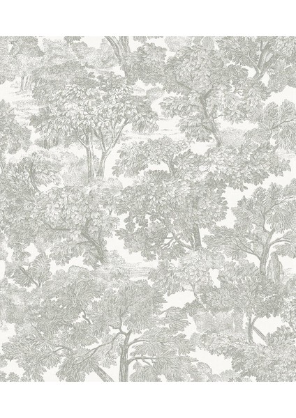 3115-12541 Spinney Gri Toile Duvar Kağıdı, Gri