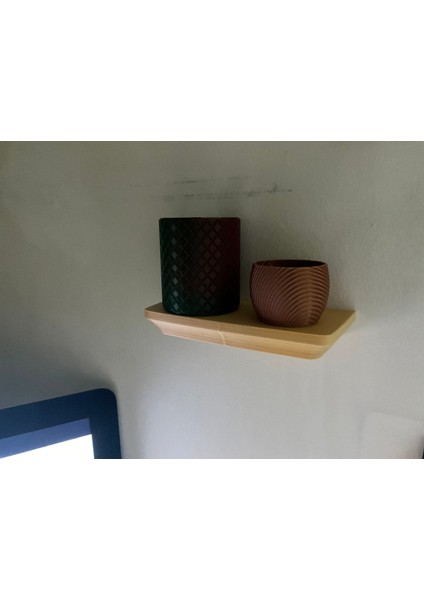 Gizli Raf (Sadece Plastik Aparattır!!!) 3D modelleri