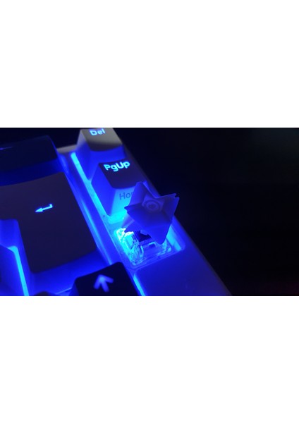Kader Hayalet Klavye Tuşu (Mx) (Plastik Aparattır!!!) 3D modelleri