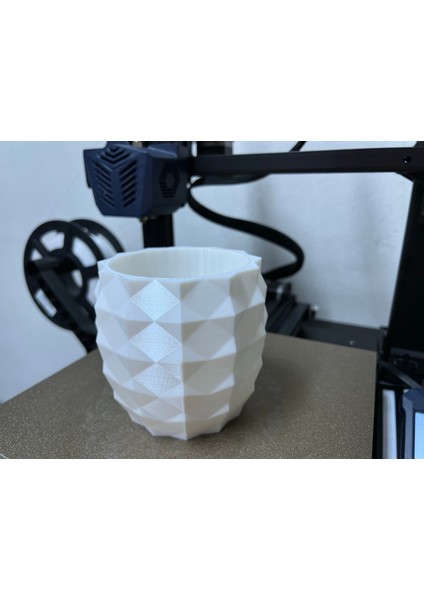Ananas Ekici (Plastik Aparattır!!!) 3D modelleri