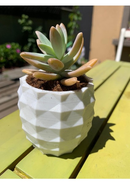 Ananas Ekici (Plastik Aparattır!!!) 3D fırsatları