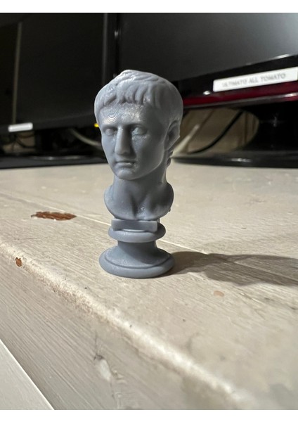 Imparator Augustus (Plastik Aparattır!!!) 3D modelleri