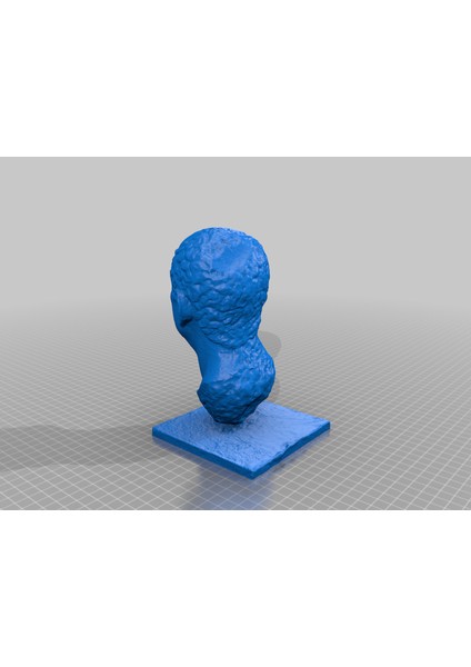 Romalı Bir Memurun Portresi (Plastik Aparattır!!!) 3D fiyatları