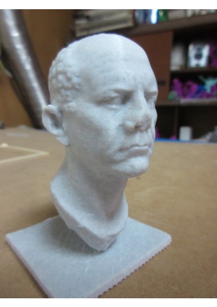 Romalı Bir Memurun Portresi (Plastik Aparattır!!!) 3D modelleri