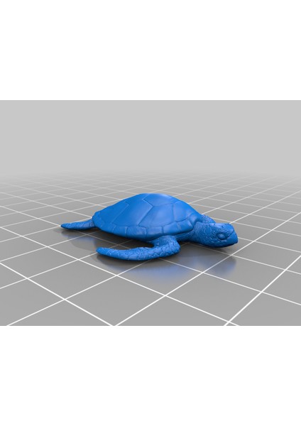 Deniz Kaplumbağası (Plastik Aparattır!!!) 3D fiyatları