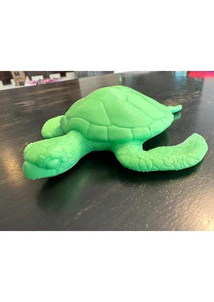 Deniz Kaplumbağası (Plastik Aparattır!!!) 3D fırsatları