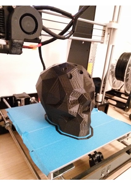 Poli Kafatası Kalem Tutucu (Plastik Aparattır!!!) 3D modelleri